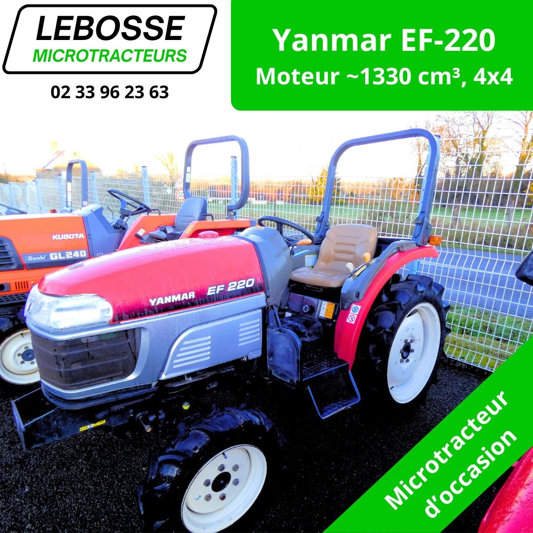Yanmar EF-220 occasion