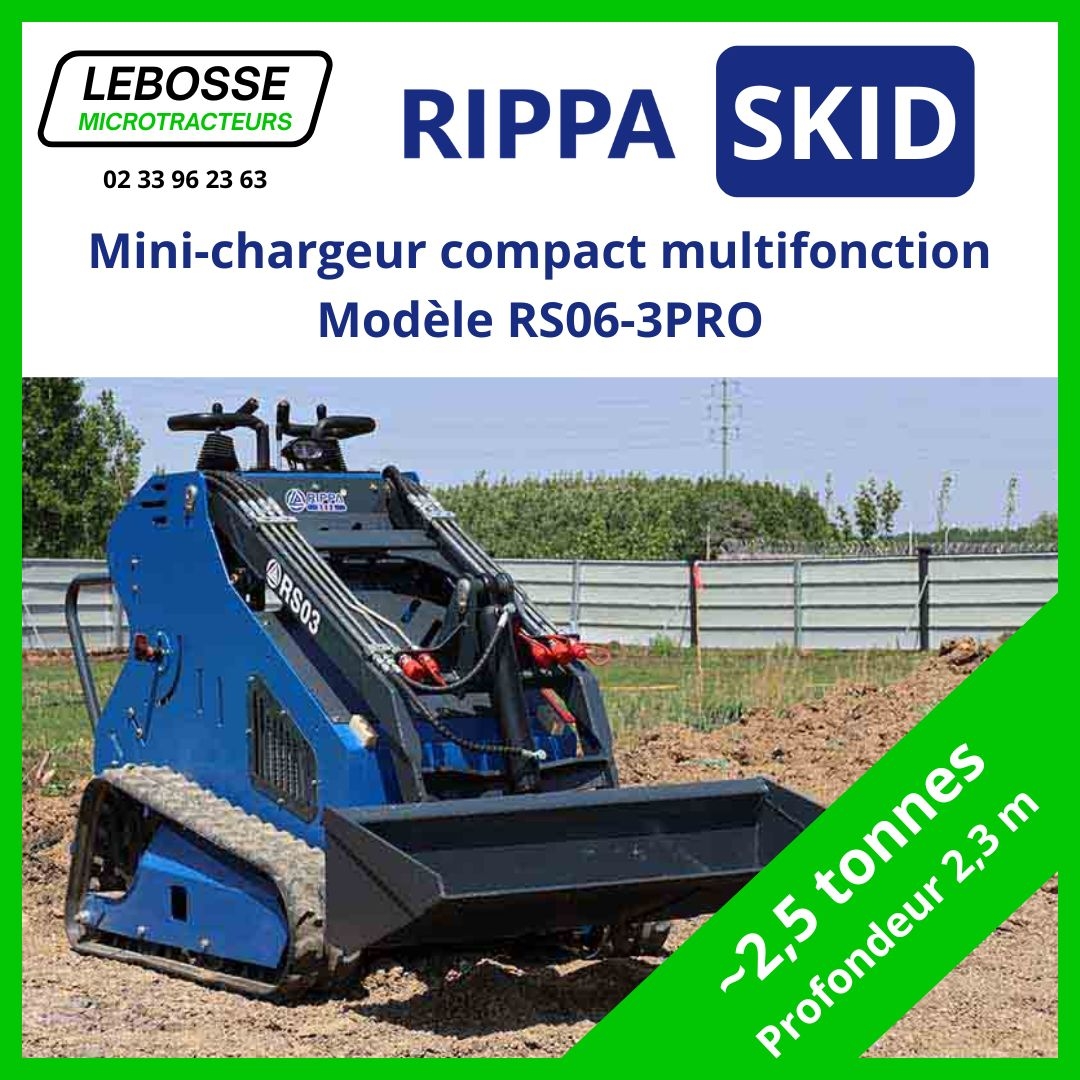 Toro Dingo occasion Normandie